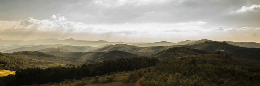 Sunshine in the Hills